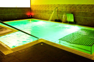 Spa Hotel Melia Sevilla